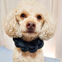 강아지 넥워머 목도리 고양이 목도리 포그니벨벳목도리, XL33~37cm, 블랙