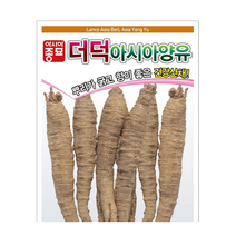 아시아종묘 더덕씨앗 더덕 종자 더덕 (3g), 1개