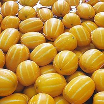 농장직송 3kg 4kg 고당도 성주 참외, 고당도 두입참외 4kg