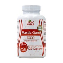 Logic Nutra 로직 누트라 매스틱 검 1000mg 120정, 1병