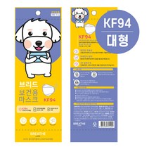 KF94 마스크 식약처승인 / 국산 마스크 귀안아픈 마스크 개별포장 아파트헤파필터 마스크kf94 94마스크 비말차단마스크 방역마스크 황사마스크 미세먼지마스크 마스크94대형