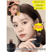 1/1+1헤어라인 볼륨 섀도우 볼륨 파우더 헤어라인 쉐이딩 필러쉬 실용적인 푹신한 헤어라인 파우더, 2 커피 브라운