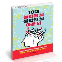 10대 놀라운 뇌 불안한 뇌 아픈 뇌 / 코리아닷컴 김붕년 자녀교육 책