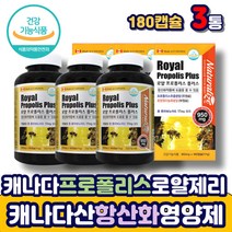 캐나다 프로폴리스 꿀 BEEPROPOLIS 로얄제리 항산화 제 영양제 꿀 캡슐 BEEPROPOLIS 비 캐나다산로얄제리 추출물 대두레시틴 중년 여성 남성 에 좋은 추천 플라보노이드