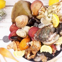 굴키우는남자 산지 통영가리비 굴 멍게 등 당일조업, 1box, 조개구이세트2.5kg