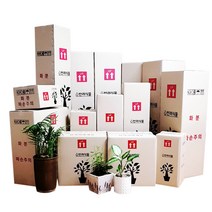 박스365 튼튼한 꽃 생화 화훼 나무 화분 화초 식물 택배박스 29종 모음, 10개입, 연갈색 박스 A604 10장(480*230*580)