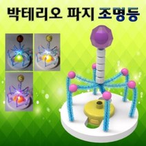 가재울무역 박테리오 파지 조명등 만들기 5인용 과학교구 작동완구 5034985ea, gajae31 본상품선택