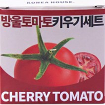 방울 토마토 모종 당뇨에좋은과일 토마토효능 도마토 방울토마토 심기 키우기 유기농토마토 효능 세트 6P
