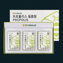 한국양봉농협 국내산 수용성 무알콜 프로폴리스 필름형 영양제, 60매