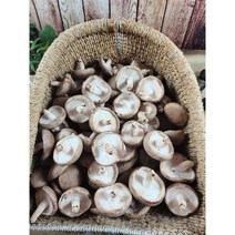 무농약 친환경 건강한 부여 표고버섯 1kg, 길동이표고 6900원