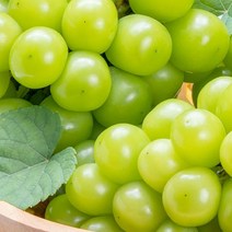 크기 소과 지역 랜덤 샤인머스켓 2kg