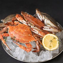 자연맛남 연평도 알배기 암꽃게 키로별, 03.연평도 알배기 암꽃게 3kg, 3kg, 1개