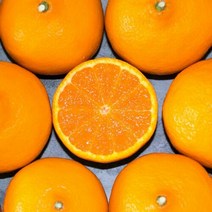 식식한상 [식식한상] 제주직송 귤로향 2kg 대과 8-12과, 단품없음