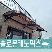 캐노픽스 1000X2800 출입구비가림 플라스틱처마 브라켓 렉산바 차양시스템 계단캐노피, 그린, 블루, 은백색