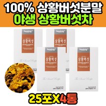 자연산 뽕나무 장수 베타클루간 상화버섯 물 차 티 목질진흙버섯 펠리수스린테우스 고함량 대용량 버섯차, 1개