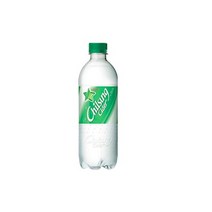 기타 칠성사이다업소용500ml18입/SH, 단일