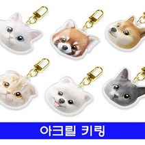 [알티피아] sugarcat멍냥이 아크릴 키링