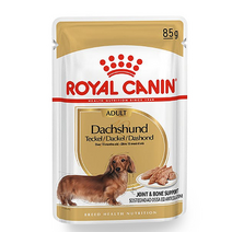 로얄캐닌 닥스훈트 어덜트 파우치 85g 048F, 상세페이지 참조, 상세페이지 참조, 상세페이지 참조