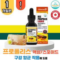 식약처 인증 캐나다산 비프로폴리스 1병 리퀴드 프로 플로 폴리 폴리스 플라보노이드 목이칼칼할때 목이물감 면역력높이는 목관리 구강 잔기침 환절기 구강항균 영양제 항산화 효능 추천 식품 BEE PROPOLIS 드롭스 드롭 액체형