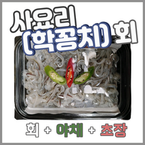 사요리(학꽁치)회 400g 800g 학공치회 포항 죽도시장막회