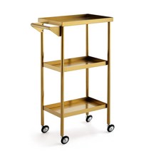 스테인레스 스틸 수납 트롤리 스텐 매장 웨건 웨건 주방 이동식 2단 트레이 주방 접이식, A