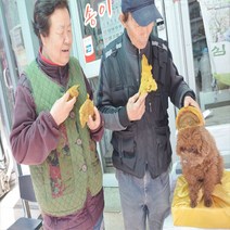 황철상황버섯 황철나무상황버섯 자연산 강원도 국산 상황버섯, 500g, 황철상황버섯절단500g