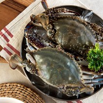 산지직송!!] 직접잡는 서천 가을 숫 꽃게1kg(3~5미), 10kg(급냉)