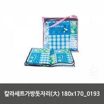 돗자리 차크닉 한강돗자리대여 423