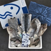 국내산 여수 반건조 생선 명절 추석 설 선물세트 말린 제수용 제사 모듬, 9미 모듬세트2, 패키지 선물포장