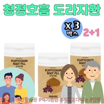 기관지에는 황사 먼지 엄선한 약도라지환 플라티코딘D 싸이언티픽 도라지환 250g