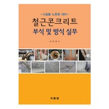 철근콘크리트 부식 및 방식실무:시설물 노후화 대비, 기문당, 송창영