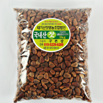 국내산 태기산잣 피잣 1kg [산지직송 견과류], 1개