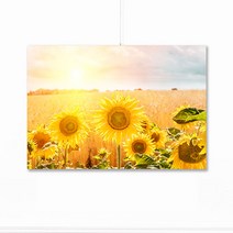 풍수아트 2.[I]들판 여명 해바라기 | 중형12호 [60.6x45.5cm]