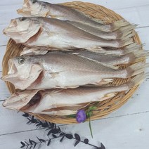 부산 반건조 생선 침조기 반찬용 구이 조림용, 1개, 3마리 (31cm내외/200~230g기준)