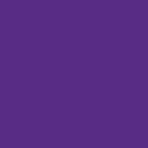 Pogo BPA 프리 트라이탄 플라스틱 물병 처그 뚜껑 포함 510.3ml(18온스) 그레이 655134, 32oz, Purple, Purple, Purple