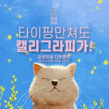 다온폰트 타이핑치는 캘리그라피 라이트 6개월 쿠폰(윈도우전용), DAON LIGHT / 6