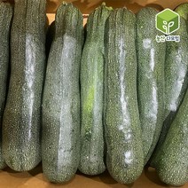 국내산 쥬키니 호박 상 10kg, 단품