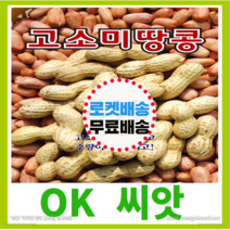 [OK씨앗] [고소미땅콩] 땅콩씨앗 종자(오케이씨앗), 30g