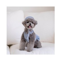 [갤러리아] 꼴레트멍멍오로라 데님 강아지모자 마이리틀독, 블루