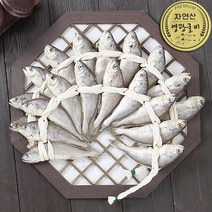 법성포 영광굴비 가정용 20미 1.0kg내외 14cm내외, 명품굴비가방_포장