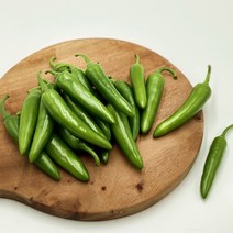 국내산 모닝고추 아삭이고추 오이맛고추 (특) 1kg 3kg 5kg 10kg [노블프레쉬], 모닝고추 3kg, 1개