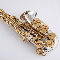 Yanagisawa 알토 색소폰 금색과 은색 W037