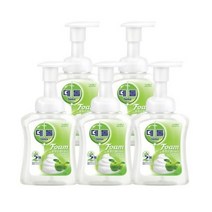 데톨 포밍 핸드워시 애플블로썸 본품 250ml, 5개