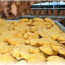 상황버섯분말 국산 상황버섯가루 100g