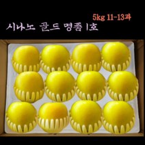 예산명품시나노. 사과여왕 잊지못할 맛 사과의 장점만 한곳에 아삭한식감 특대 제수용 선물용, 1박스, 5kg(14-17과)