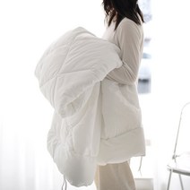 바이오웰 항균 이불솜 (SSQ)