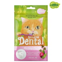 캣템 스피루리나 덴탈 고양이 이빨과자 스낵, 1개, 60g, 쉬림프