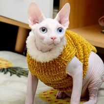 펫보스 고양이 스핑크스옷 겨울옷 부드러운 니트, 옐로우