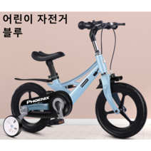 Dream 어린이 멋진 네발자전거 보조바퀴 패션선물 SYKB103, 16인치, 블루