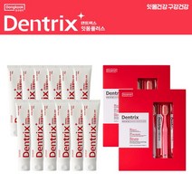 덴트릭스잇몸플러스 덴트릭스 잇몸플러스치약160gX12개+에티즘잇몸칫솔 10개, 1세트